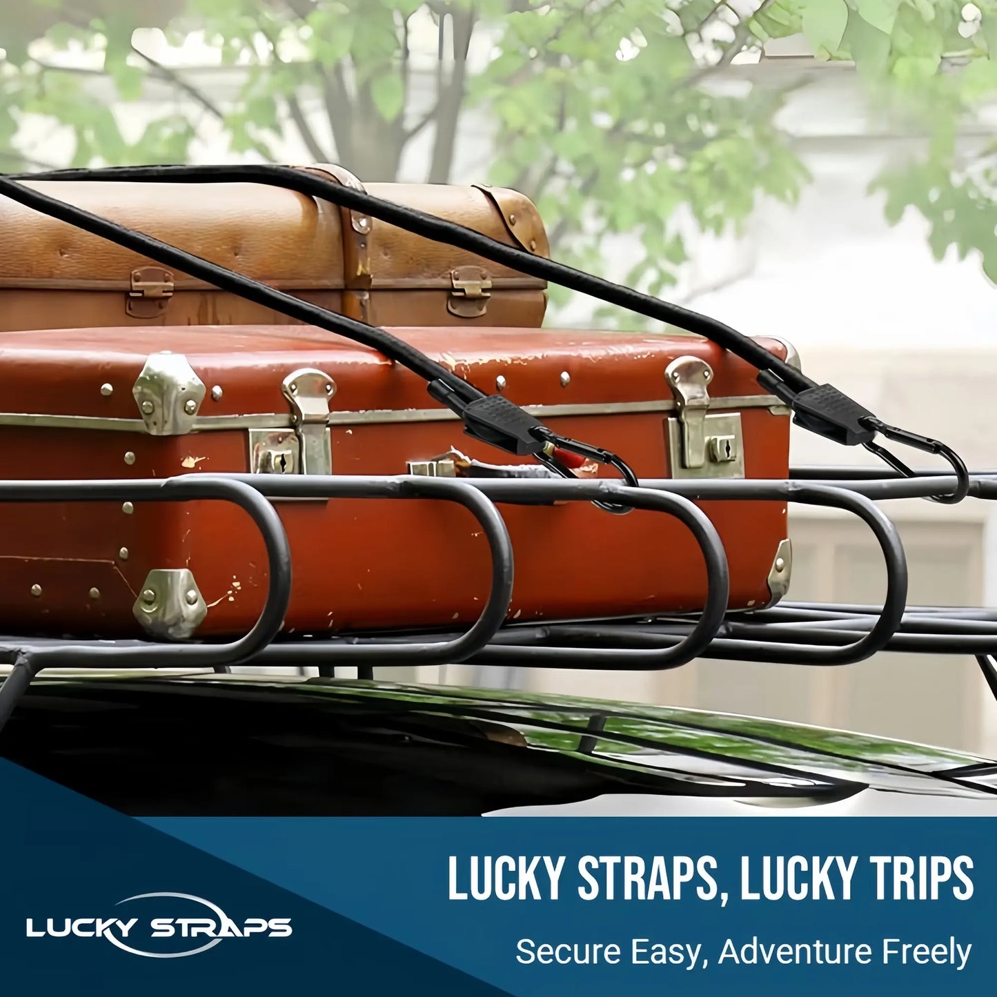 🔥 Lucky Straps 8-Pack 18" Adjustable Carabiner Bungee Cords with Hooks, Heavy Duty, UV-Resistant Elastic Straps for Truck, Camping, Motorcycles, Bikes & Cargo Securing🔥